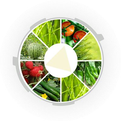英国通用国际化工集团有限公司