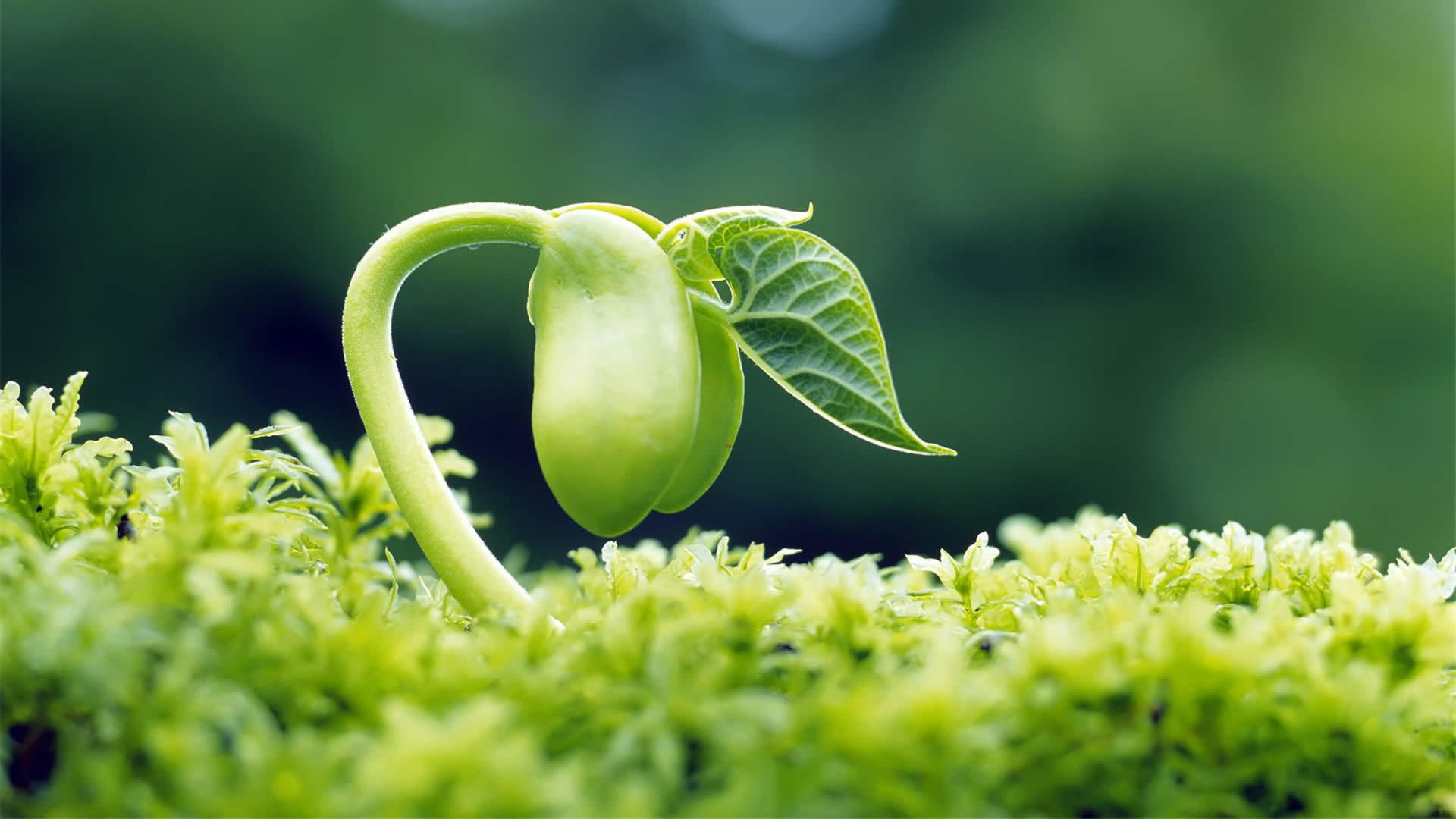 英国通用国际化工集团有限公司